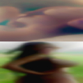 Finding pussy